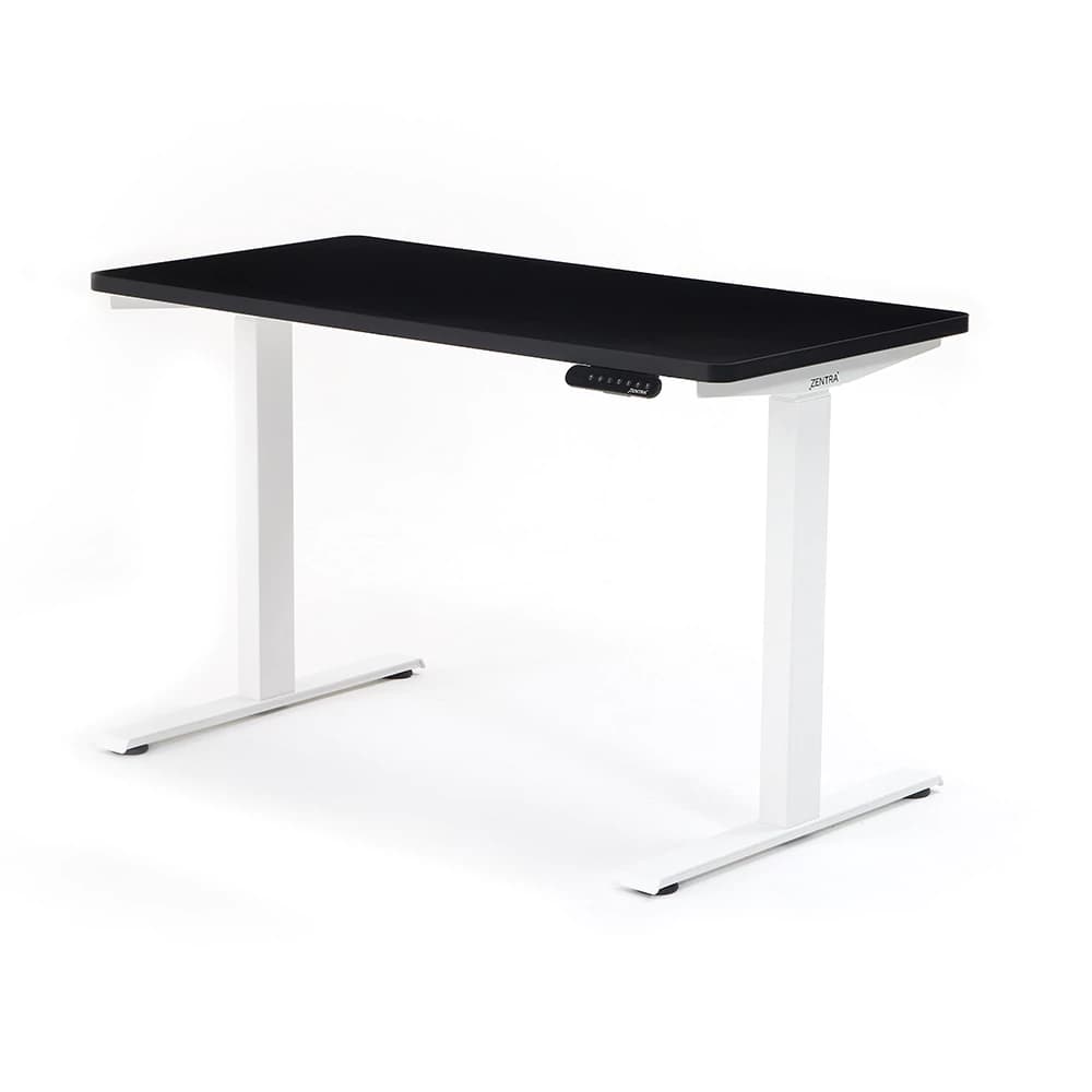 Standing Desk Z10 PRO con Tabla