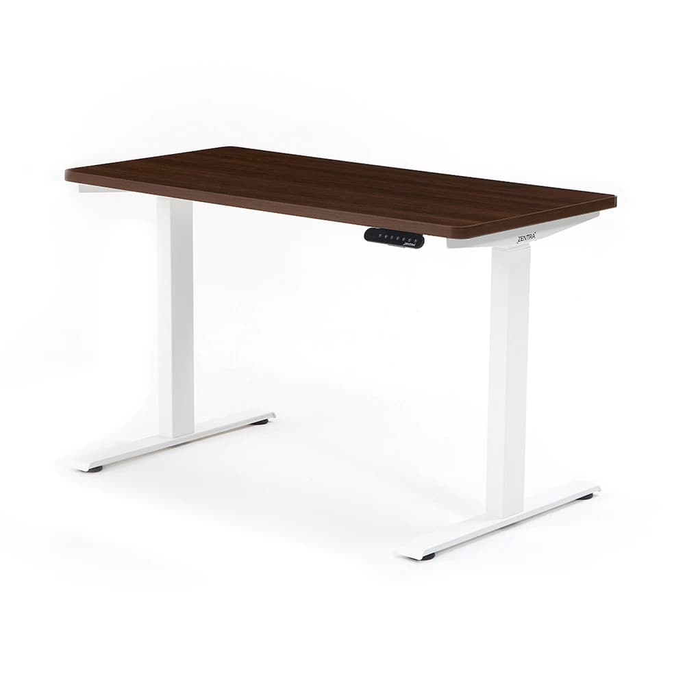 Standing Desk Z20 PRO con Tabla